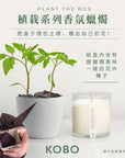 KOBO CANDLES | ILLINOIS, USA 香氛蠟燭 植栽系列-野生番茄藤蔓香氛蠟燭
