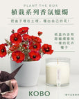 KOBO CANDLES | ILLINOIS, USA 香氛蠟燭 植栽系列-田野罌粟花香氛蠟燭