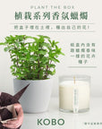 KOBO CANDLES | ILLINOIS, USA 香氛蠟燭 植栽系列-新鮮薄荷香氛蠟燭