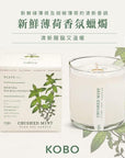 KOBO CANDLES | ILLINOIS, USA 香氛蠟燭 植栽系列-新鮮薄荷香氛蠟燭