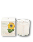 KOBO CANDLES | ILLINOIS, USA 香氛蠟燭 植栽系列-溫暖向日葵香氛蠟燭
