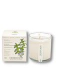 KOBO CANDLES | ILLINOIS, USA 香氛蠟燭 植栽系列-新鮮薄荷香氛蠟燭