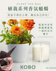 KOBO CANDLES | ILLINOIS, USA 香氛蠟燭 植栽系列-田園金盞花香氛蠟燭