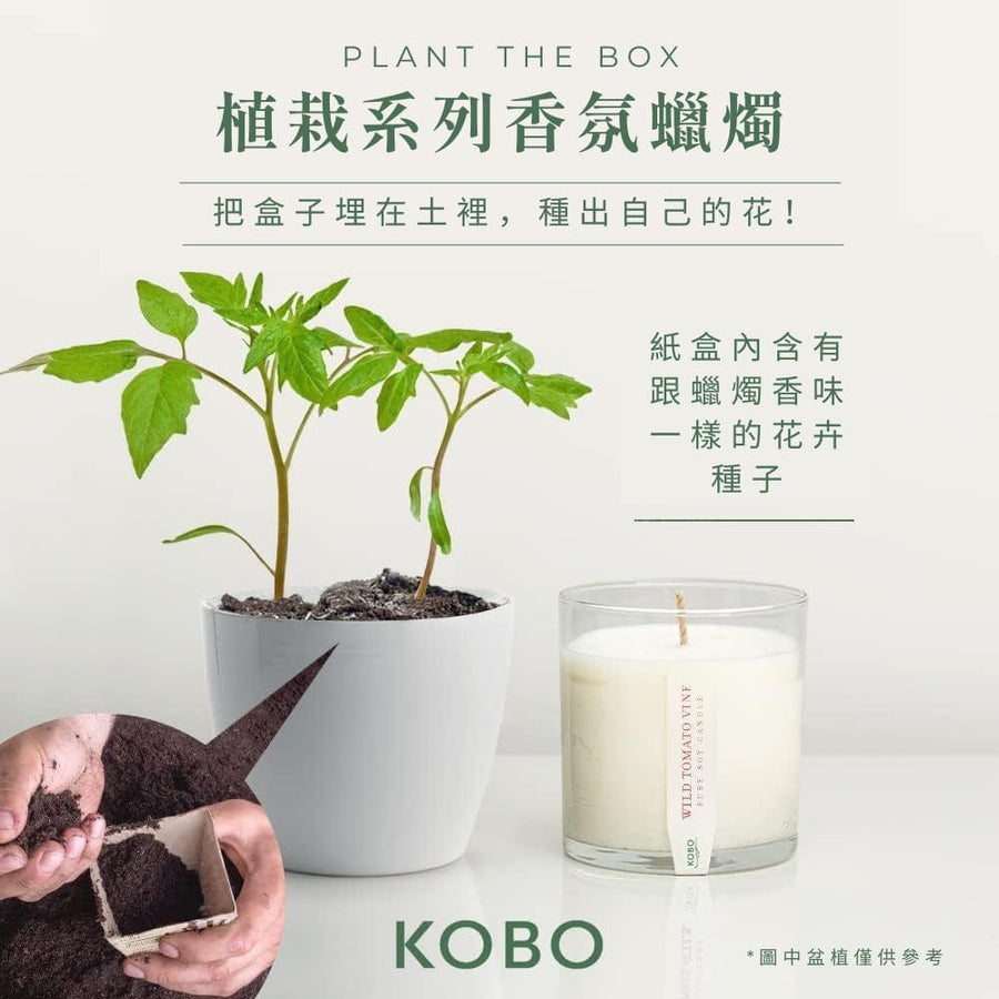 植栽系列-野生番茄藤蔓香氛蠟燭