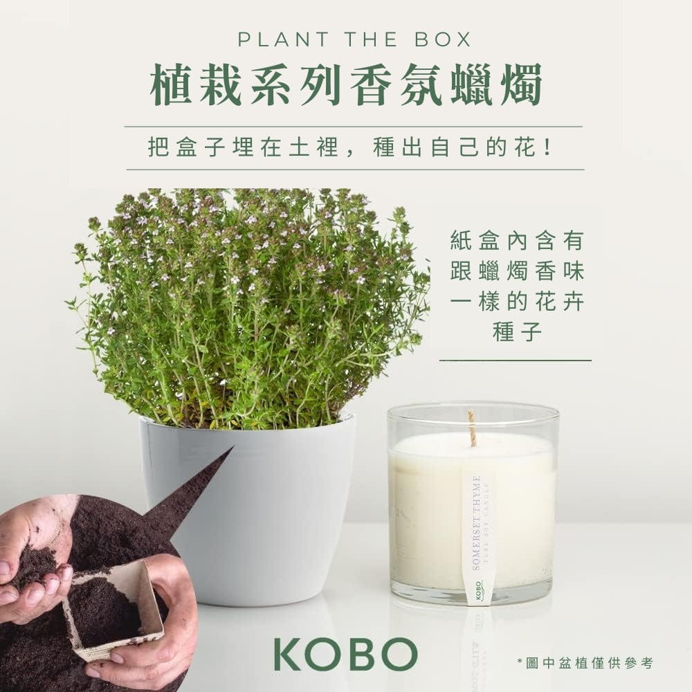 KOBO CANDLES | ILLINOIS, USA 香氛蠟燭 植栽系列-英國百里香香氛蠟燭