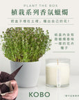 KOBO CANDLES | ILLINOIS, USA 香氛蠟燭 植栽系列-英國百里香香氛蠟燭