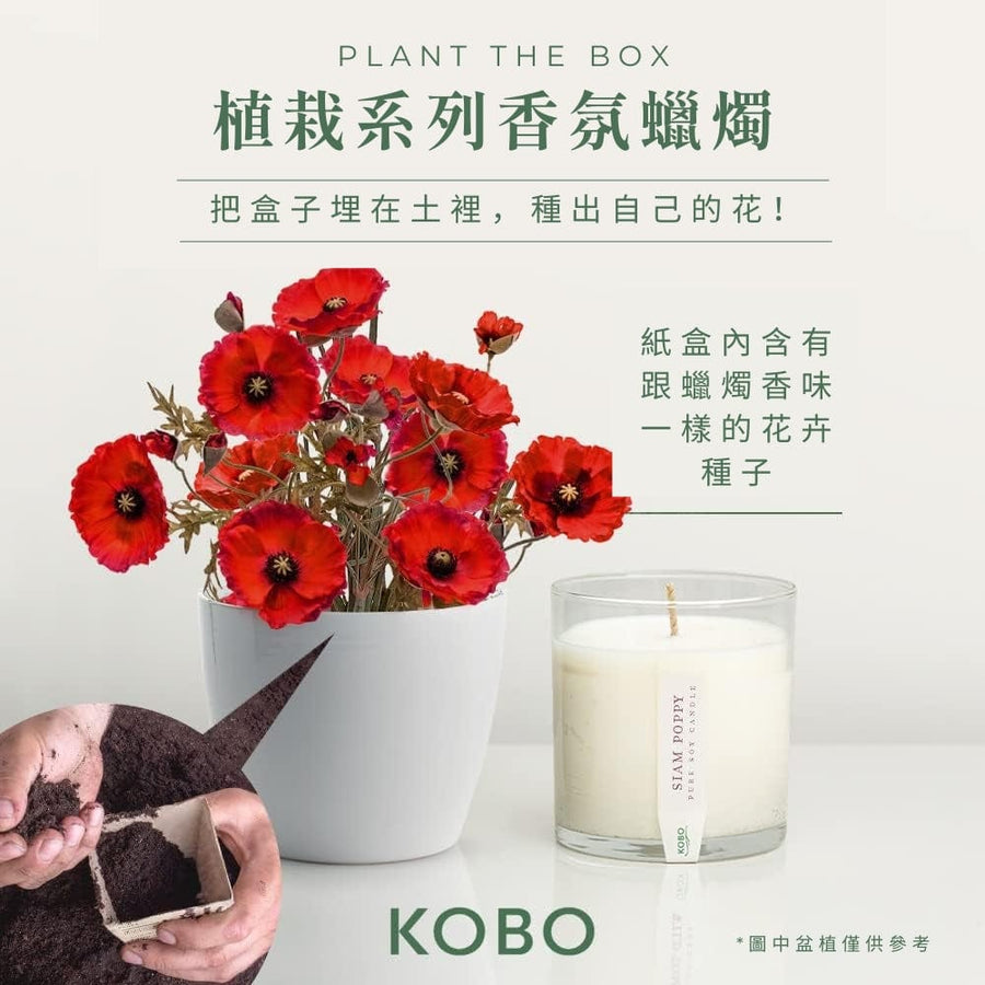 KOBO CANDLES | ILLINOIS, USA 香氛蠟燭 植栽系列-田野罌粟花香氛蠟燭