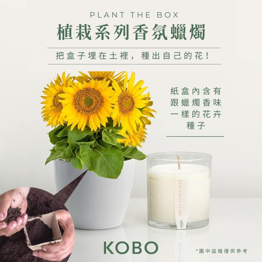 KOBO CANDLES | ILLINOIS, USA 香氛蠟燭 植栽系列-溫暖向日葵香氛蠟燭