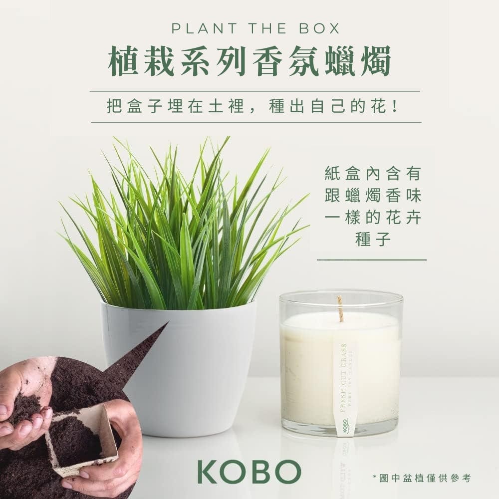 KOBO CANDLES | ILLINOIS, USA 香氛蠟燭 植栽系列-新鮮青草香氛蠟燭