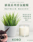 KOBO CANDLES | ILLINOIS, USA 香氛蠟燭 植栽系列-新鮮青草香氛蠟燭