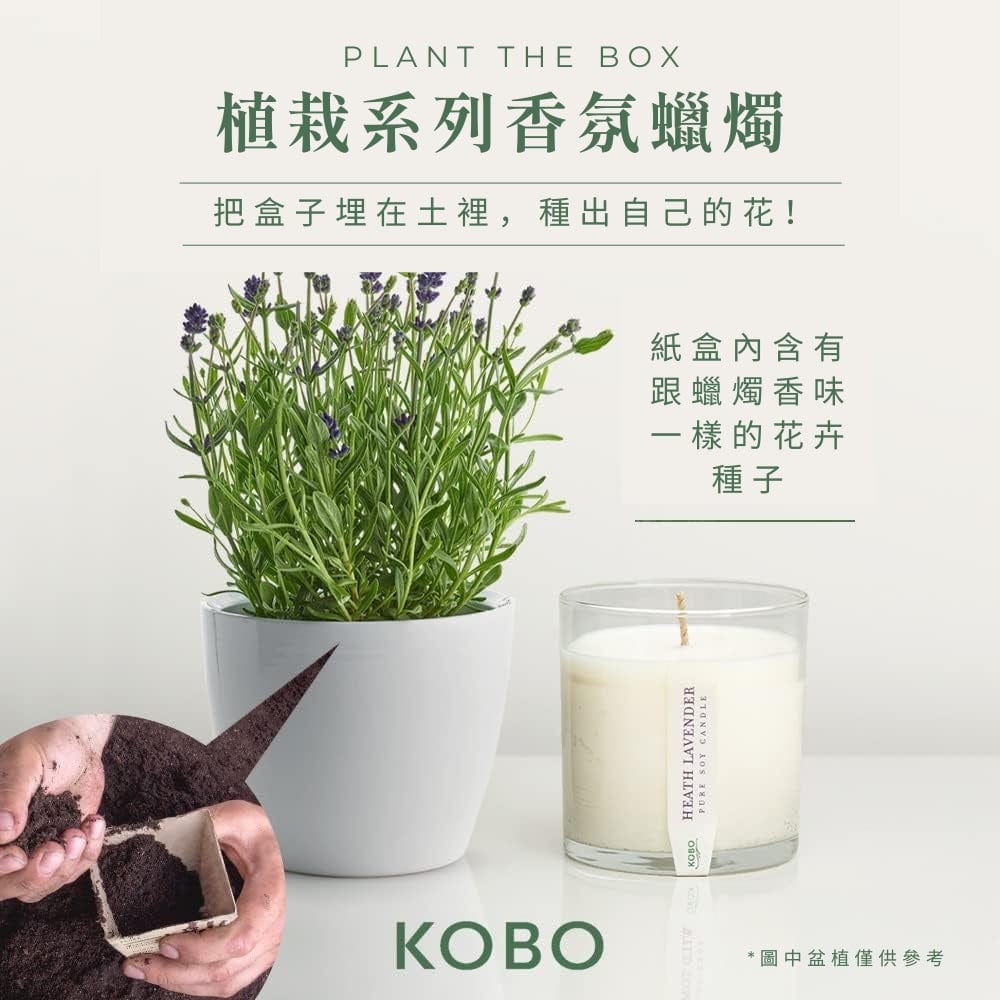 KOBO CANDLES | ILLINOIS, USA 香氛蠟燭 植栽系列-新鮮薰衣草香氛蠟燭