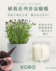 KOBO CANDLES | ILLINOIS, USA 香氛蠟燭 植栽系列-新鮮薰衣草香氛蠟燭