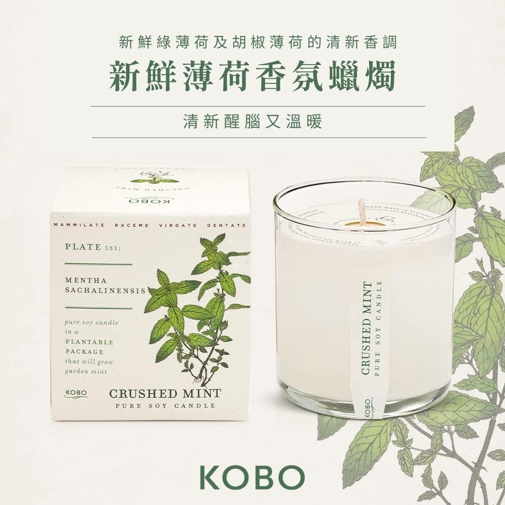 KOBO CANDLES | ILLINOIS, USA 香氛蠟燭 植栽系列-新鮮薄荷香氛蠟燭