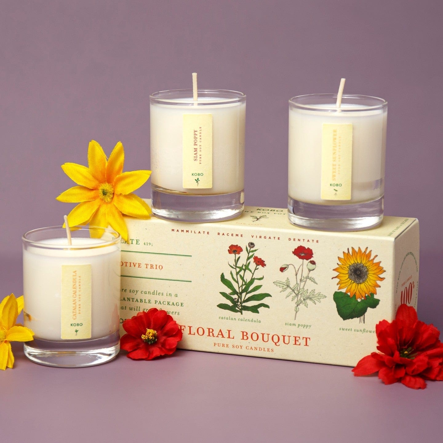 KOBO CANDLES | ILLINOIS, USA 香氛蠟燭 植栽系列小蠟燭禮盒-三顆入