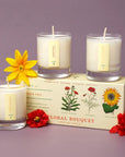 KOBO CANDLES | ILLINOIS, USA 香氛蠟燭 植栽系列小蠟燭禮盒-三顆入