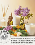 APOTHEKE | NEW YORK, USA 香氛蠟燭 琥珀與岩蘭草精油香氛蠟燭