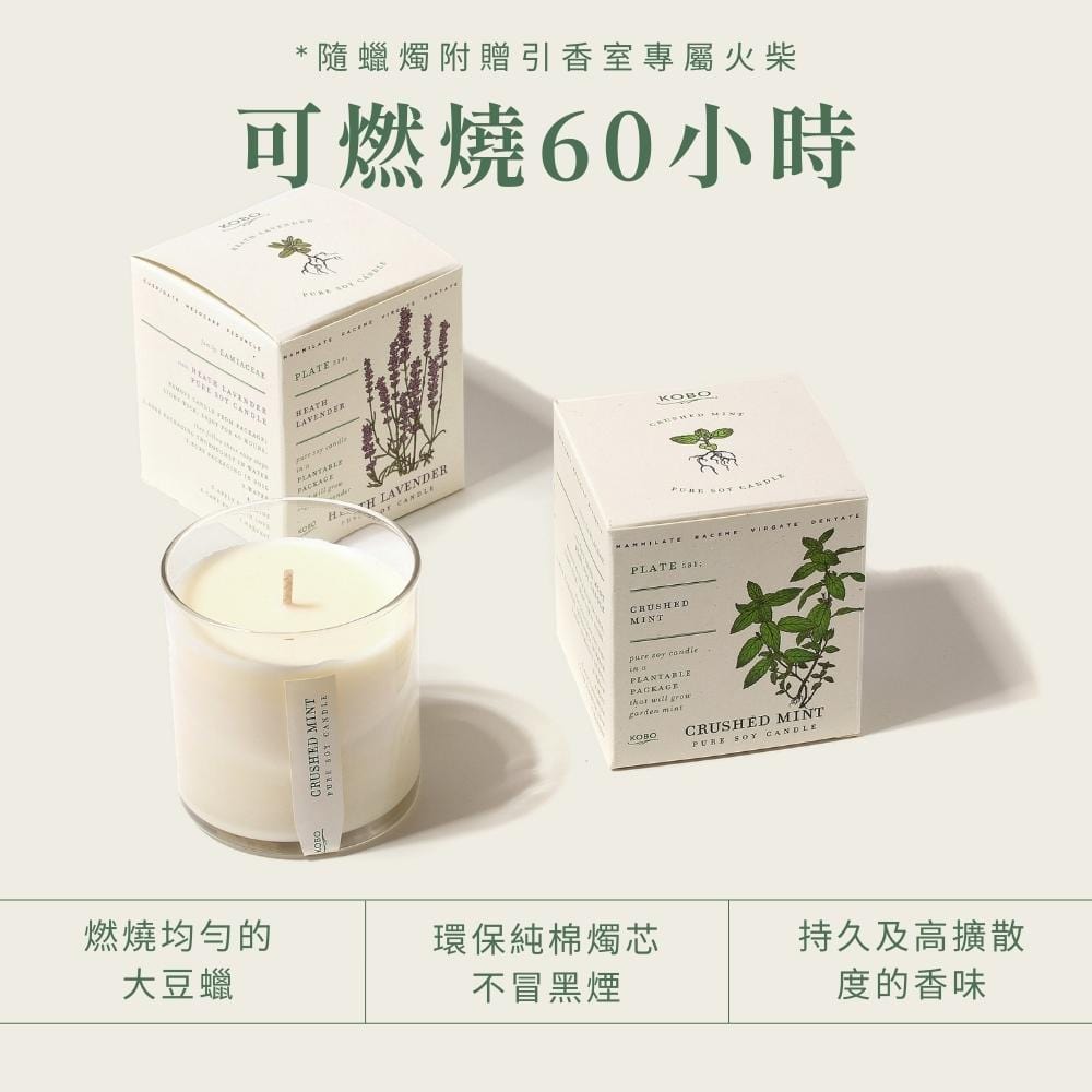 KOBO CANDLES | ILLINOIS, USA 香氛蠟燭 植栽系列-新鮮薰衣草香氛蠟燭