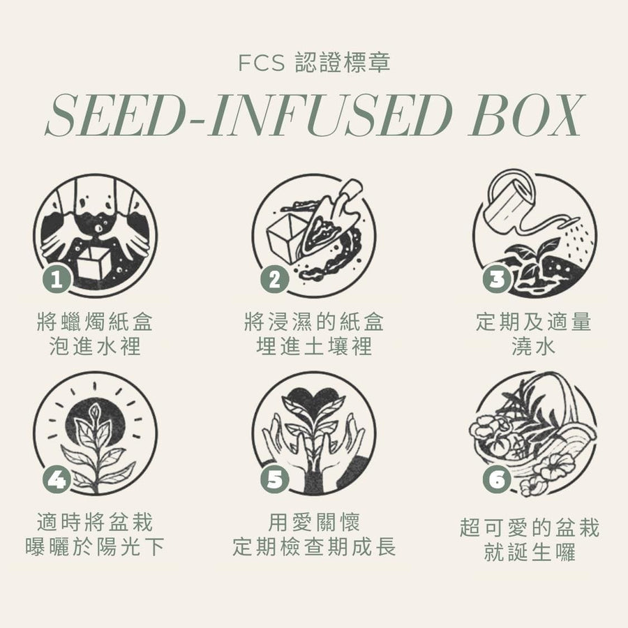 植栽系列-田野罌粟花香氛蠟燭