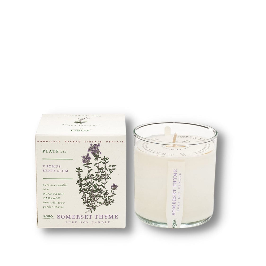 KOBO CANDLES | ILLINOIS, USA 香氛蠟燭 植栽系列-英國百里香香氛蠟燭