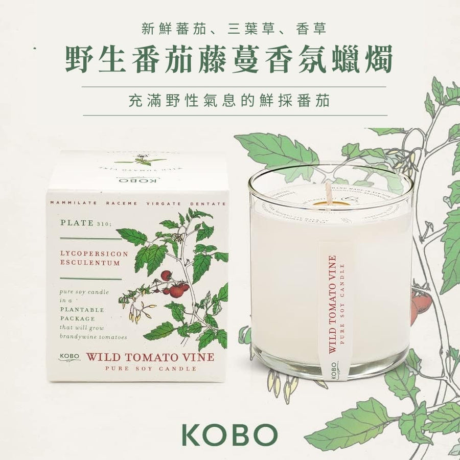 植栽系列-野生番茄藤蔓香氛蠟燭