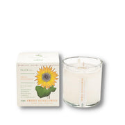 KOBO CANDLES | ILLINOIS, USA 香氛蠟燭 植栽系列-溫暖向日葵香氛蠟燭