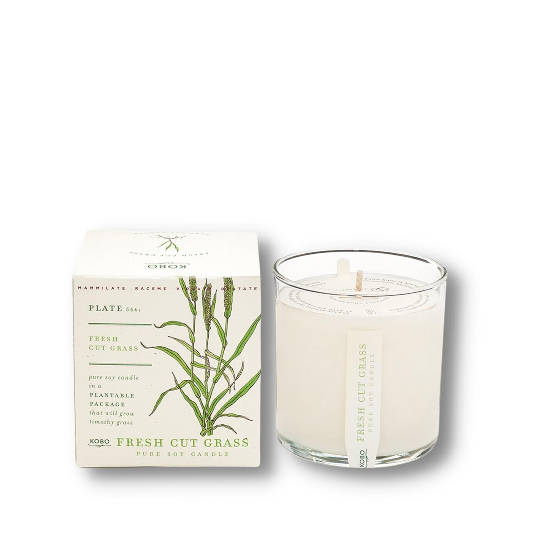 KOBO CANDLES | ILLINOIS, USA 香氛蠟燭 植栽系列-新鮮青草香氛蠟燭