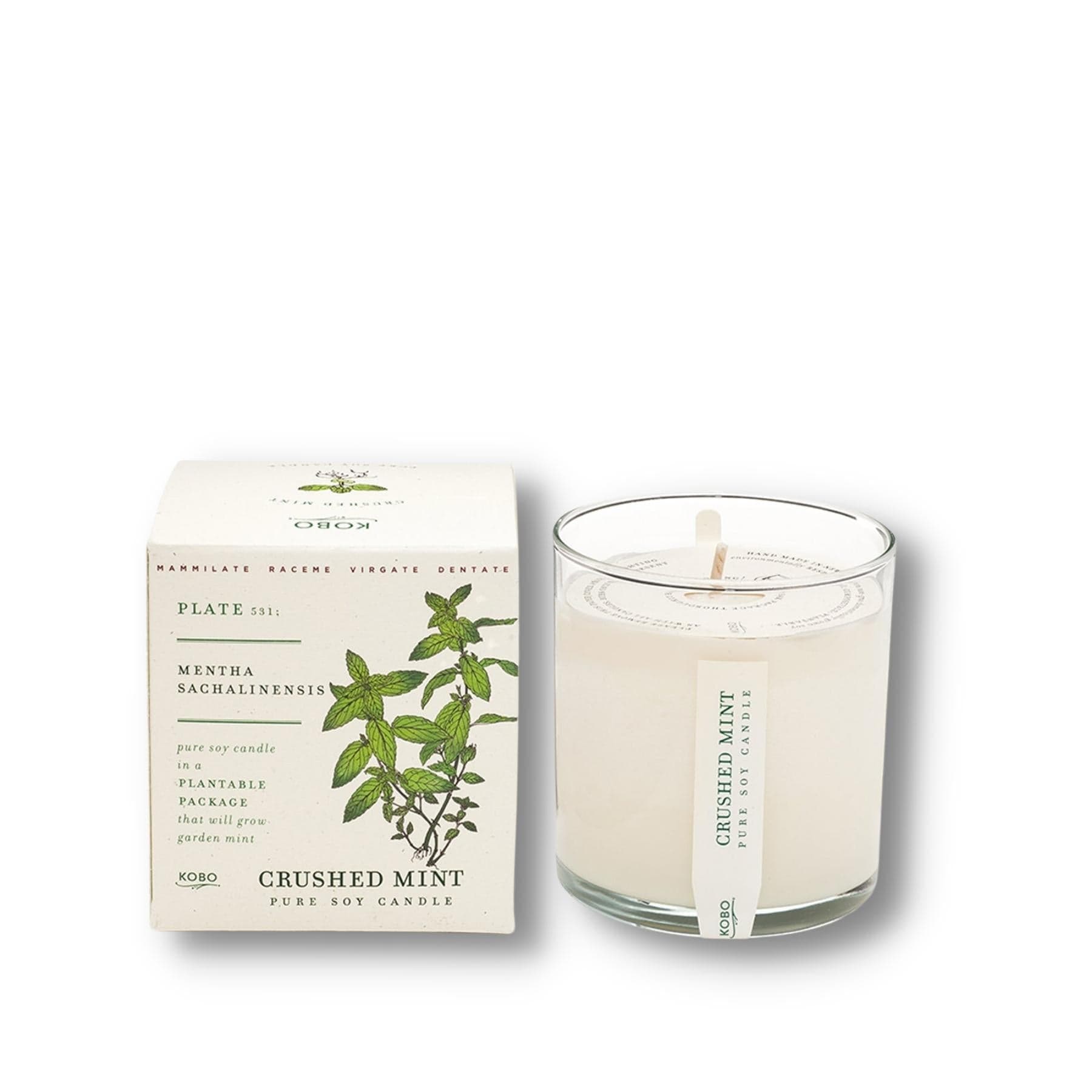 KOBO CANDLES | ILLINOIS, USA 香氛蠟燭 植栽系列-新鮮薄荷香氛蠟燭