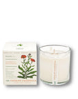 KOBO CANDLES | ILLINOIS, USA 香氛蠟燭 植栽系列-田園金盞花香氛蠟燭